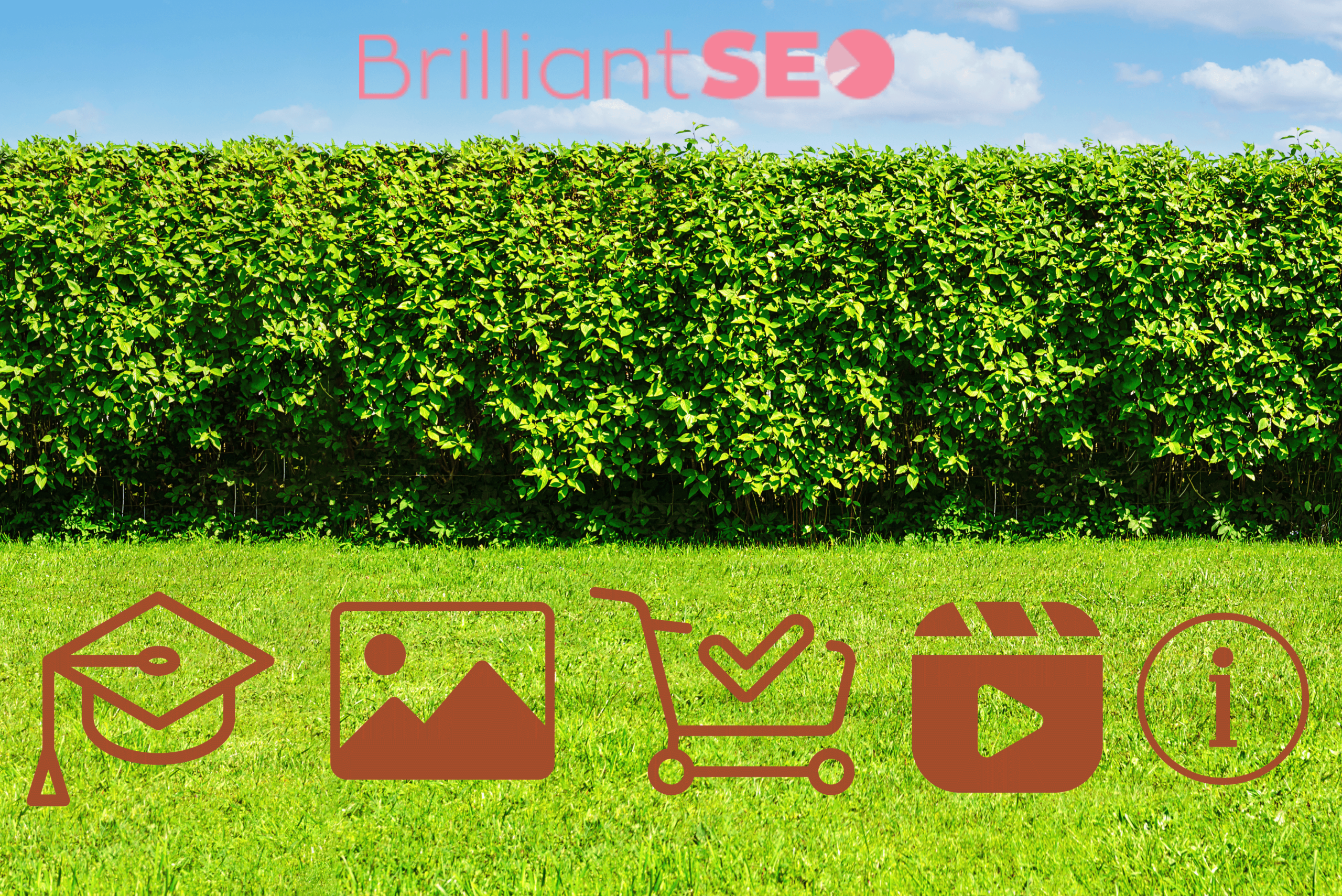 walled garden on the internet